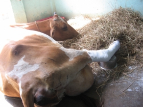 Lakshmi with early version of caste
