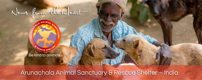 newsletter-header-01