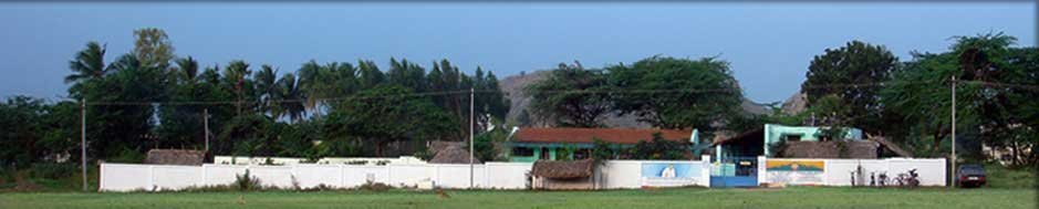 Enjoy. With love from Us and the Precious Ones.