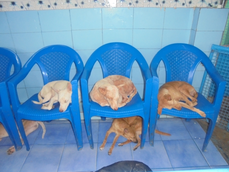 I thought we got more chairs for people.