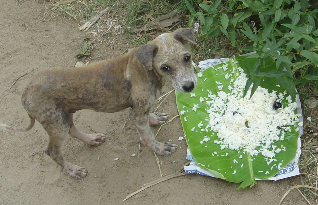 One of the Precious Ones that needs us.