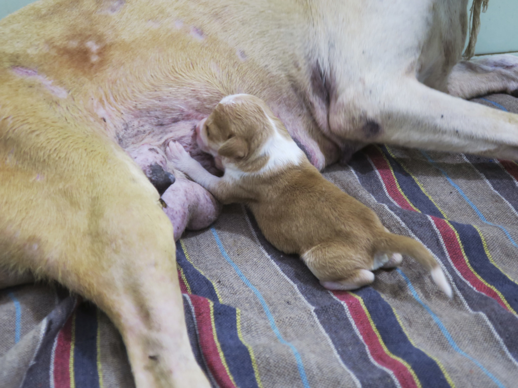 This Little One enjoys being an only kid.