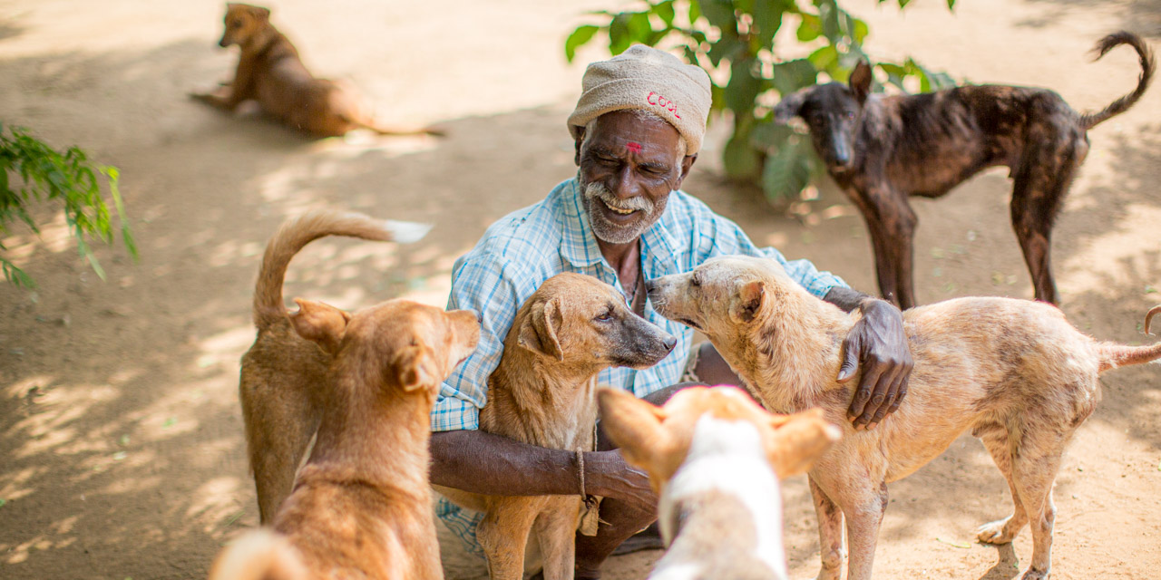 01-20121226113121-RD_20293