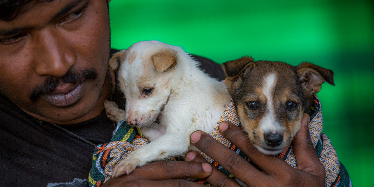 03-20121226115622-RD_20561