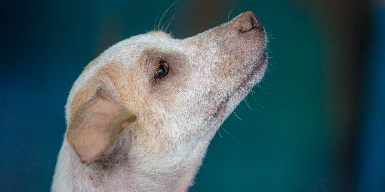 10-20121226115641-RD_20582