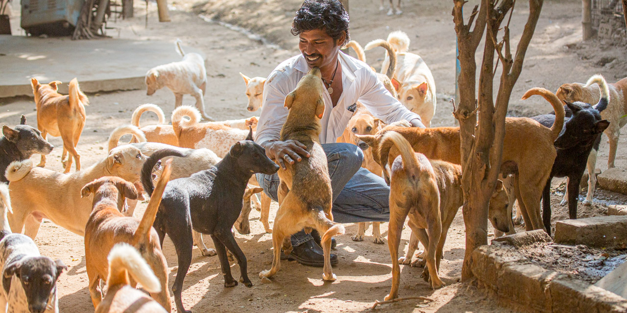 20131230150506-RD_36555