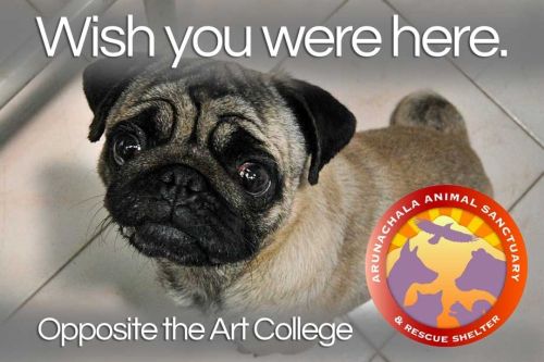 A face only a mother(and everyone here) could love