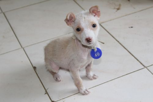 "Number 49" welcomes you to our beloved Shelter.