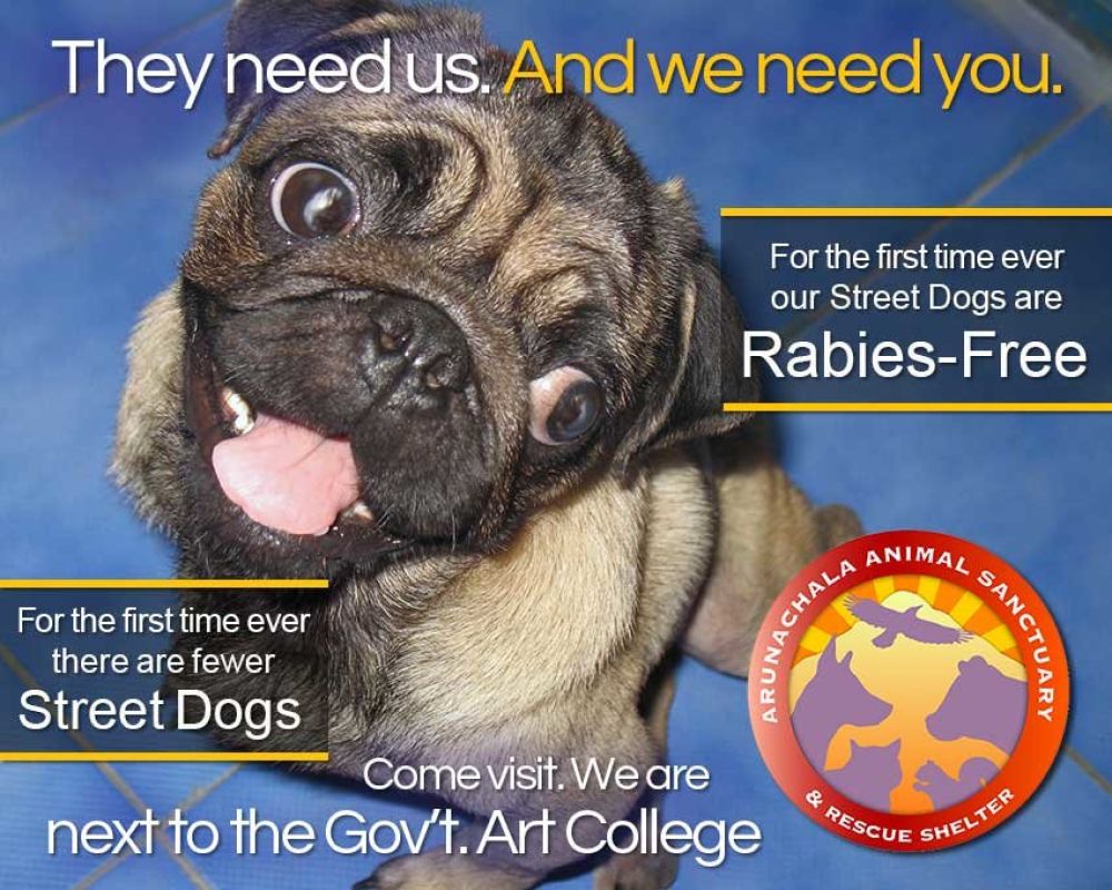 Welcome to our beloved Shelter.